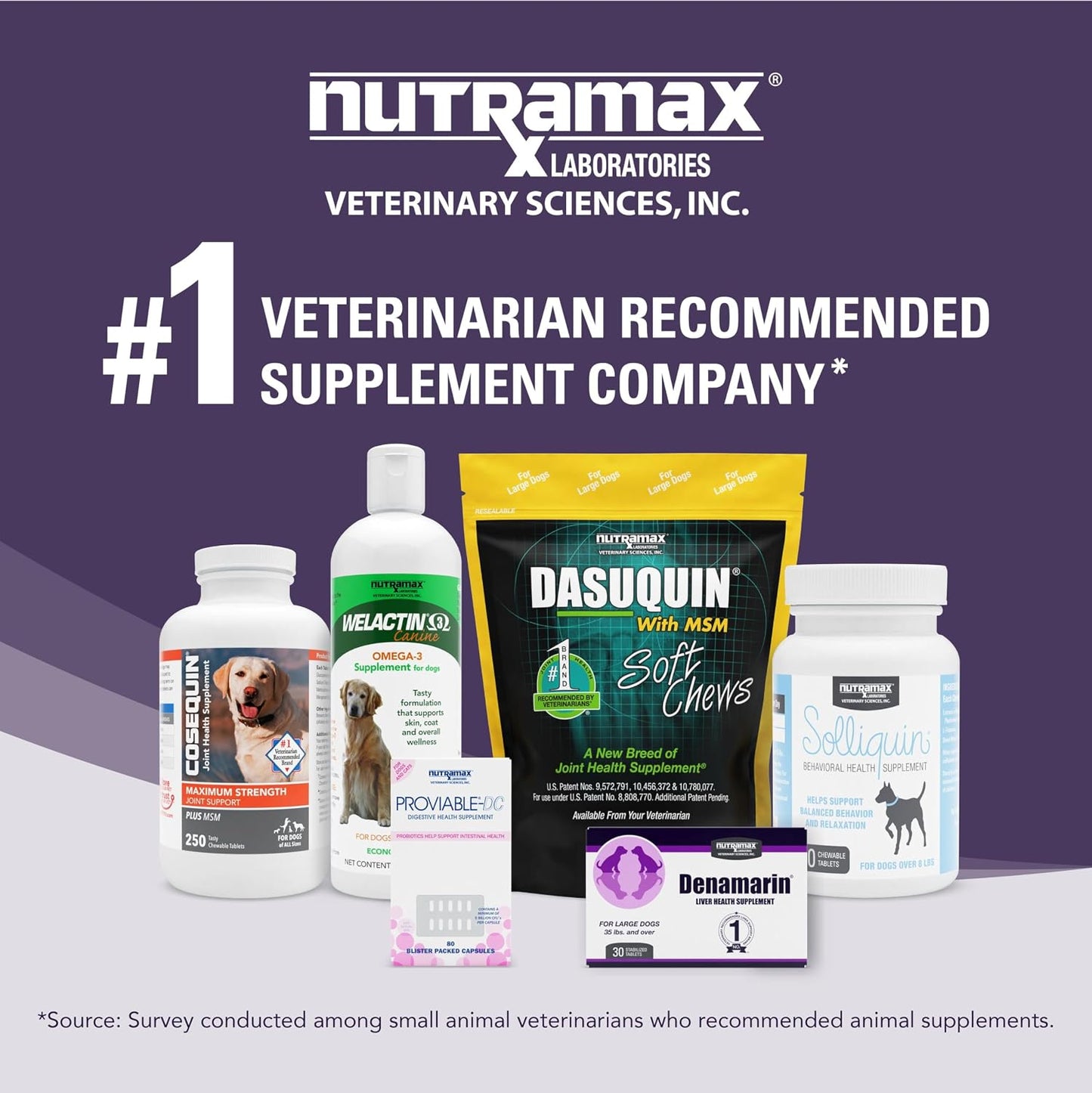 Nutramax Denamarin for Medium Dogs – Liver Health Supplement with SAMe plus Silybin, 30 Coated Tablets - görsel 6