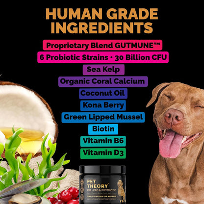 Pet Theory Probiotics for Dogs – Pre, Pro & Postbiotic Soft Chews for Digestive Health and General Wellbeing (100 Chews)