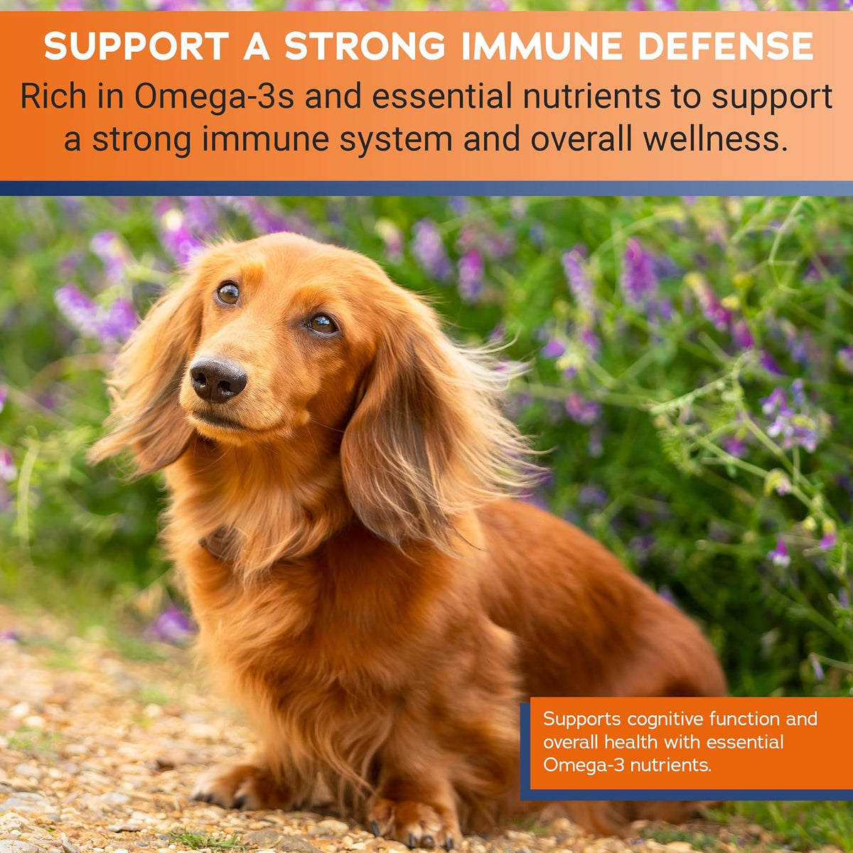 Stratford EZ Chew Omega 3 Fatty Acid Soft Chew Max Strength - Dog Omega 3 Supplement - Soft Chew Treats with Fish Oil for Dogs - Small and Medium Dogs - 60 Soft Chews - görsel 6