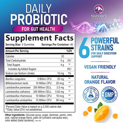 Probiotic Gummies - 6 Premium Probiotic Strains - Daily Gut Health Supplement for Women, Men & Teenagers - 120 Gummies