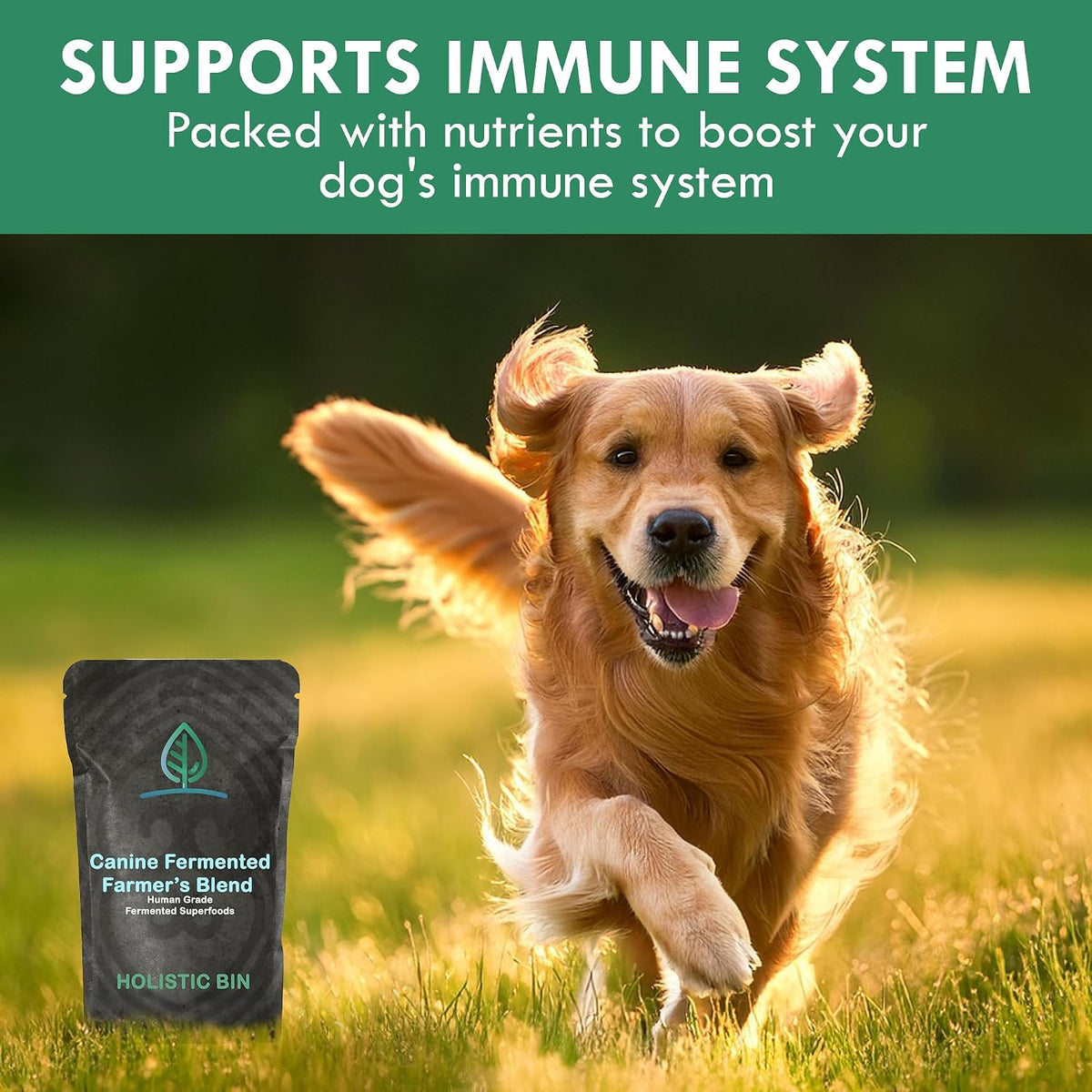 Canine Fermented Farmer's Blend | Nutrient-Rich Dog Food Topper | Plant-Based Supplement for Gut Flora | Pumpkin, Spinach, Fruit and Vegetable Powder Mix (50g) - görsel 5