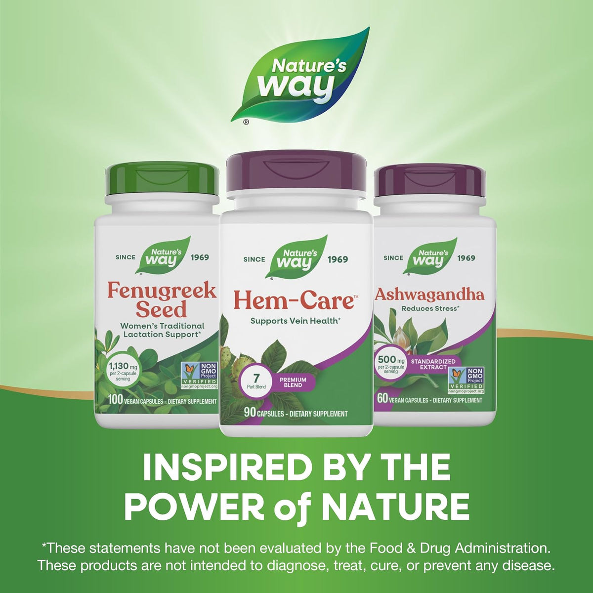 Nature's Way Premium Hem-Care – Vein Health Supplement with Vitamins C & E, Horse Chestnut Extract & Japanese Sophora – 90 Capsules - görsel 7