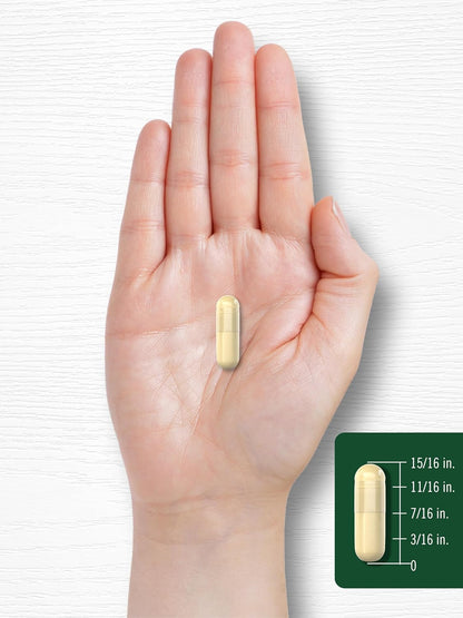 Carlyle Soya Isoflavones for Women and Men | 200 Capsules | Non-GMO, Gluten-free Extract Supplement