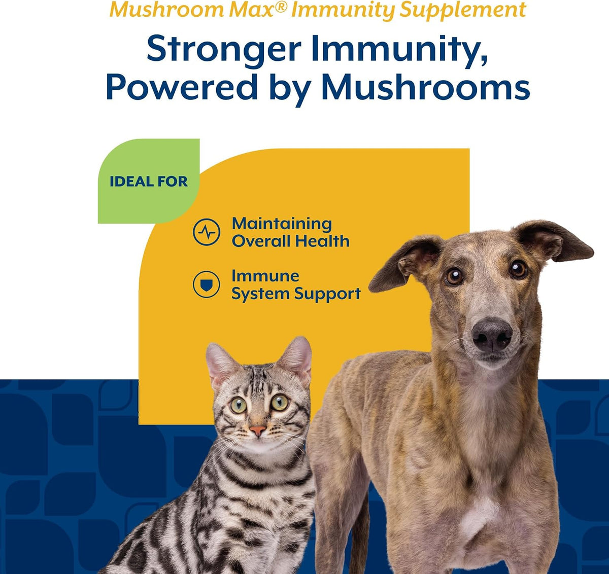 NaturVet Mushroom Max Advanced Immune Support Dog Supplement, 120 Chewable Tablets - görsel 4