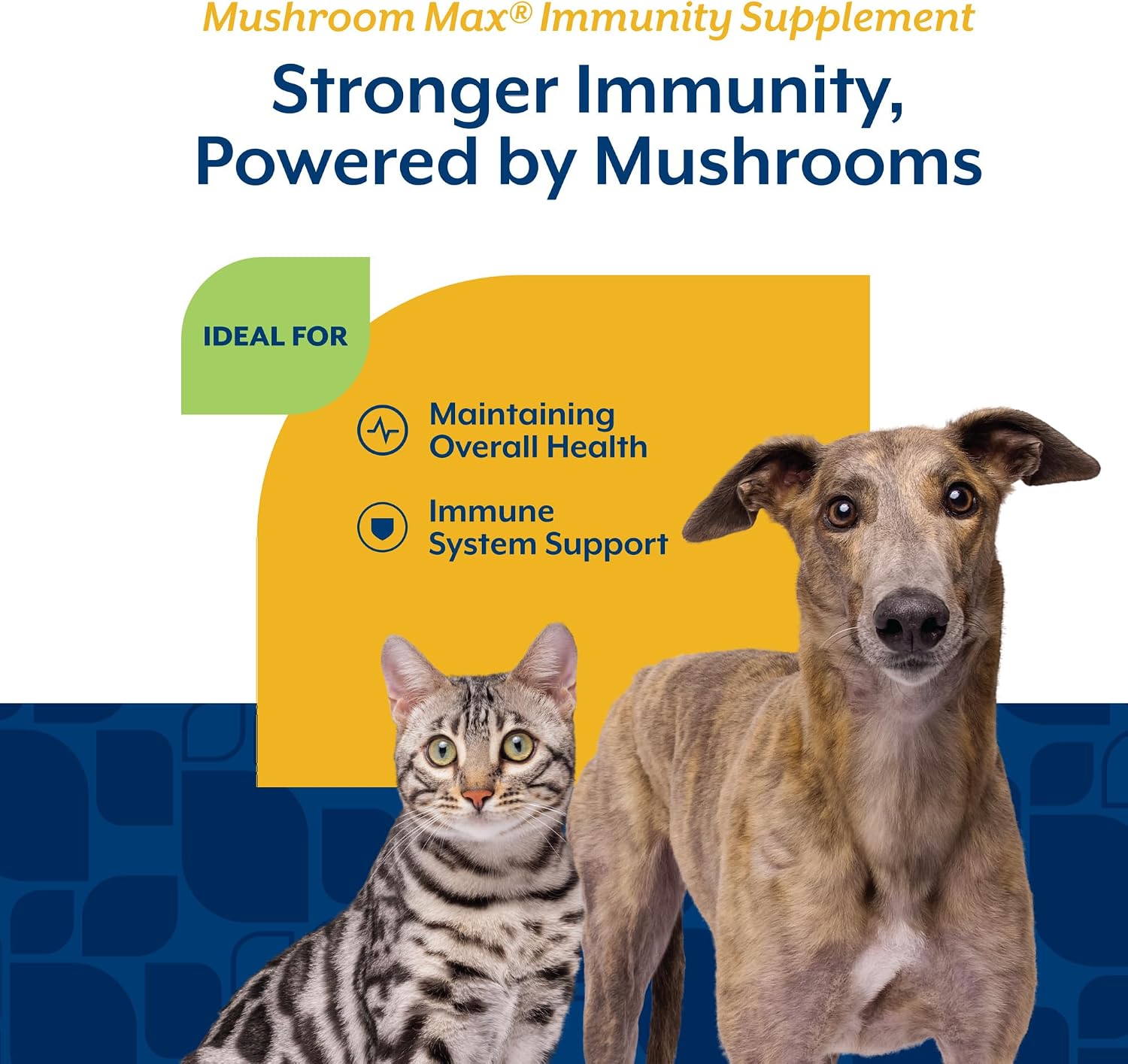 NaturVet Mushroom Max Advanced Immune Support Dog Supplement, 120 Chewable Tablets - görsel 4