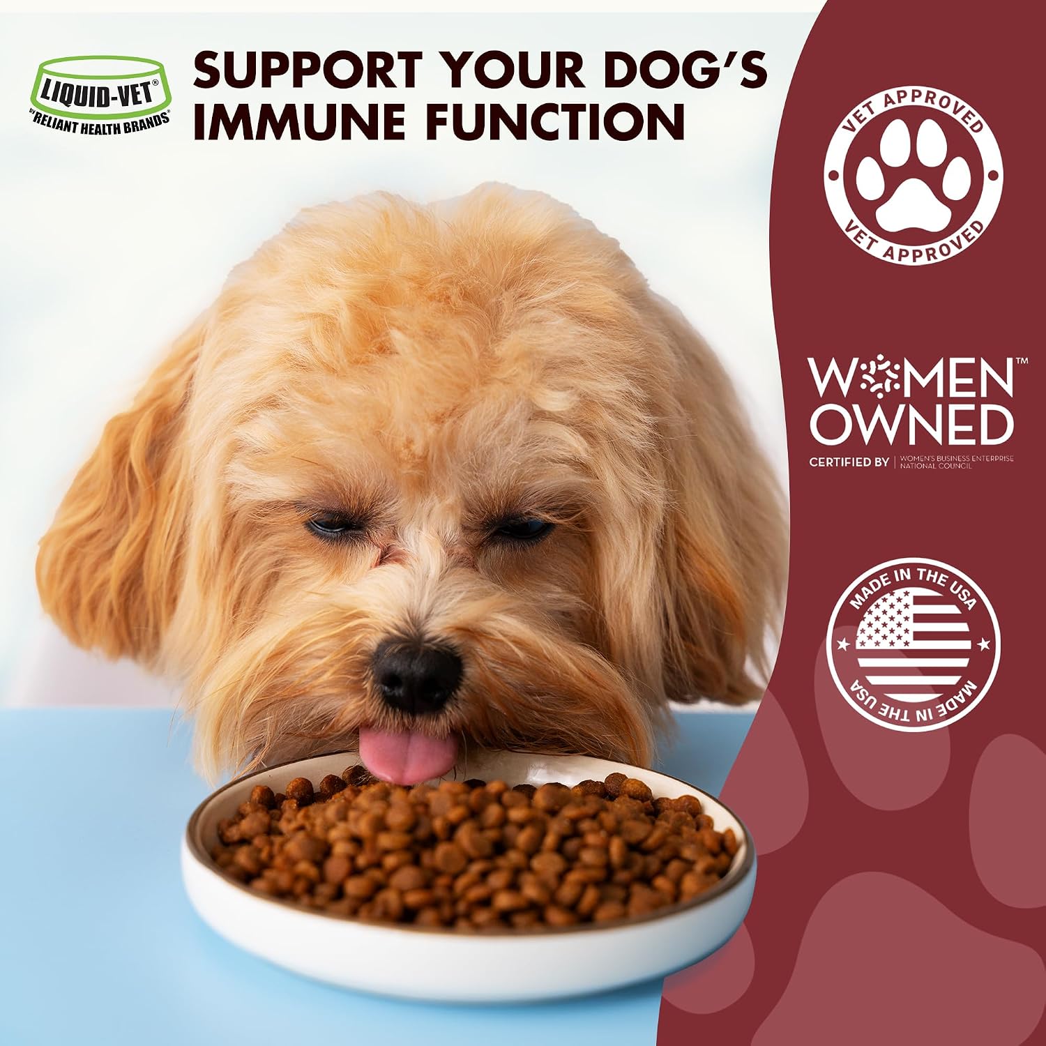 Liquid-Vet Immune Support for Dogs – Antioxidant Protection & Gut Health – Inulin, Beta-Glucan & Omega-3s / Fish Oil & More – Made for Picky Eaters - görsel 3