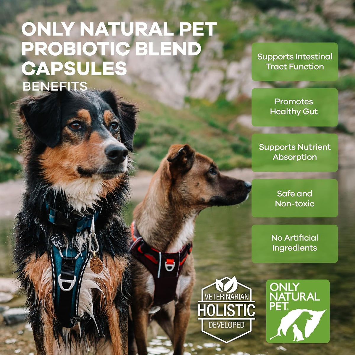 Only Natural Pet Probiotic for Dogs and Cats - Digestive & Intestinal Tract Health - 90 Capsules - görsel 4