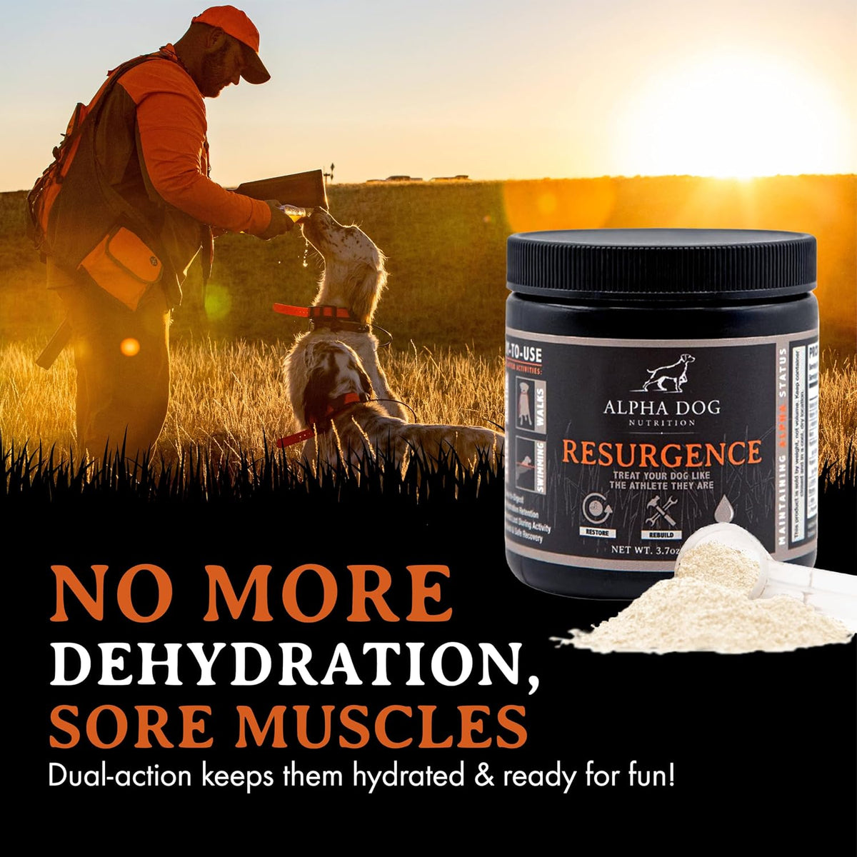 Alpha Dog Nutrition Electrolytes for Dogs - PhD Formulated Hydration Supplement with Beef Flavour for Active Canines - görsel 7