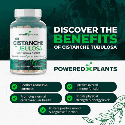Cistanche Tubulosa with Fadogia Agrestis - Herbal Supplement for Vitality - 90 Capsules