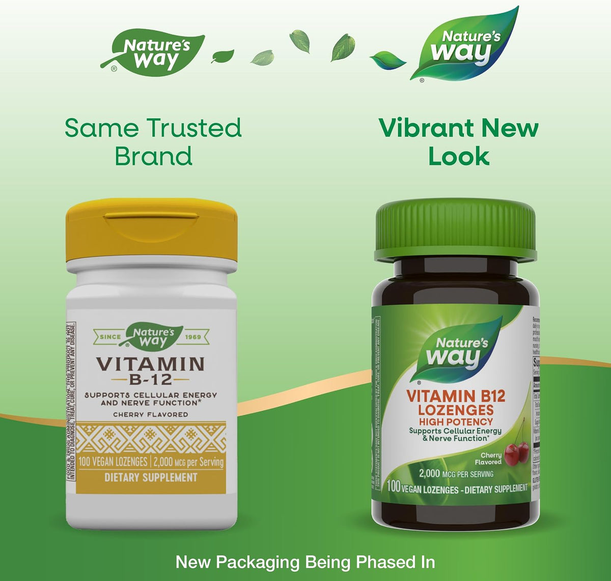Nature's Way Vitamin B12 Lozenges, 100 Lozenges per Bottle (Pack of 2) - görsel 3