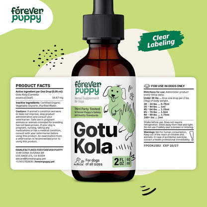 Gotu Kola Drops for Dogs – Centella Asiatica & Gotu Kola Extract for Brain Health Support – Liquid Brain Supplement for Dogs of All Breeds & Sizes – 60 ml