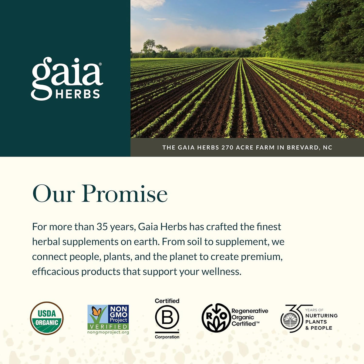 Gaia Herbs Sauerkraut Postbiotic | Gut Health & Immune Support | 60 Vegan Capsules - görsel 7