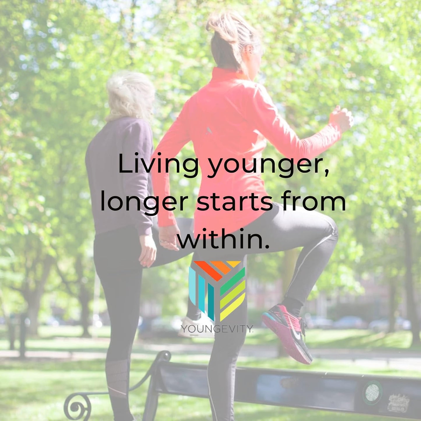 Youngevity Beyond Tangy Tangerine 2.0 Citrus Peach Fusion Multivitamin & Mineral Complex - görsel 7