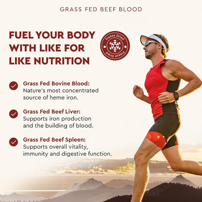 Ancestral Supplements Grass Fed Blood, Liver and Spleen Formula, 500mg, 180 Capsules