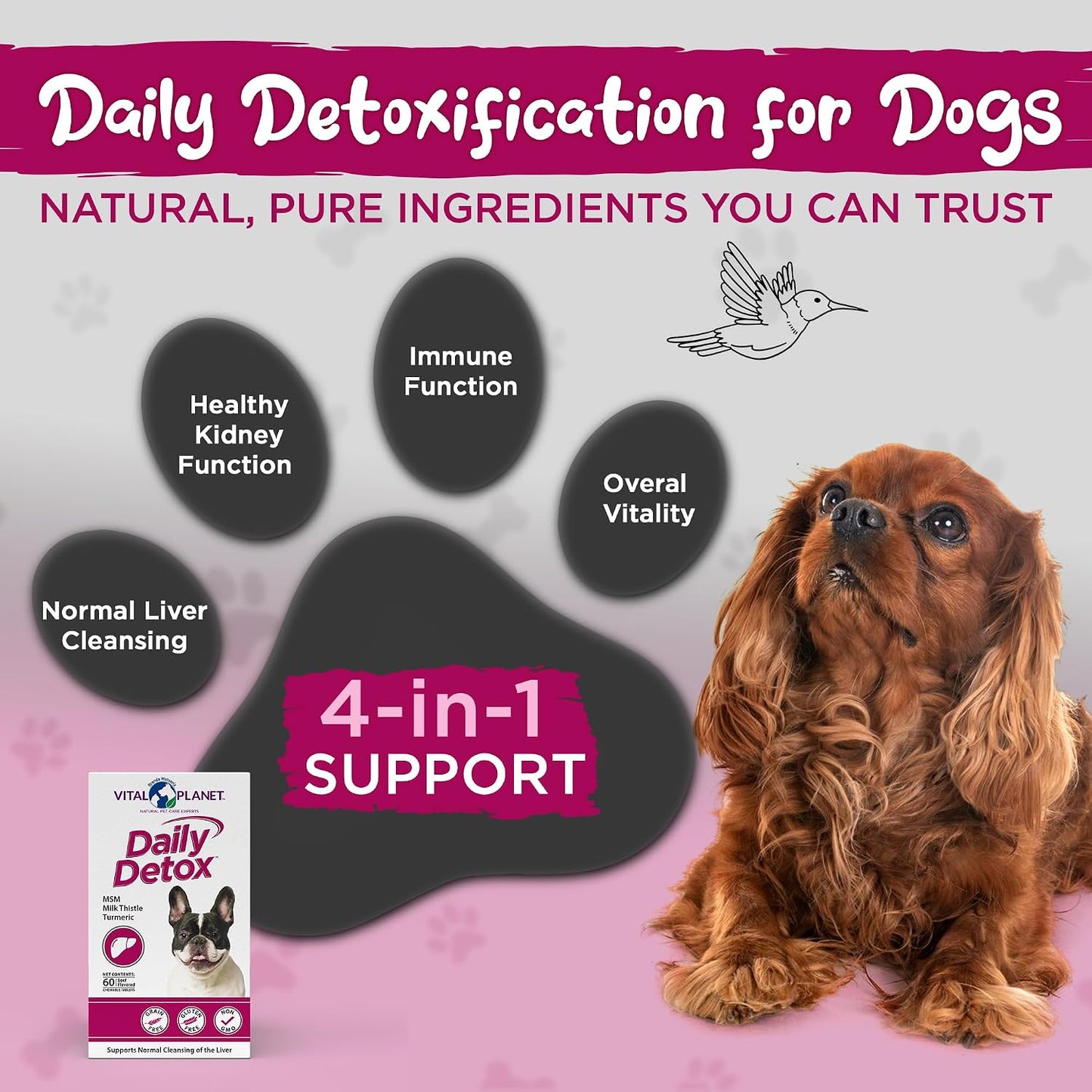 Vital Planet Daily Detox for Dogs with Milk Thistle, Turmeric, MSM - 60 Chewable Tablets - görsel 3