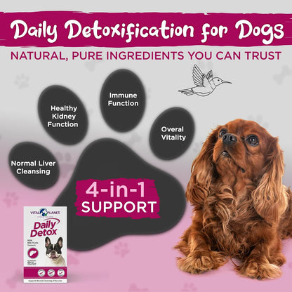Vital Planet Daily Detox for Dogs with Milk Thistle, Turmeric, MSM - 60 Chewable Tablets