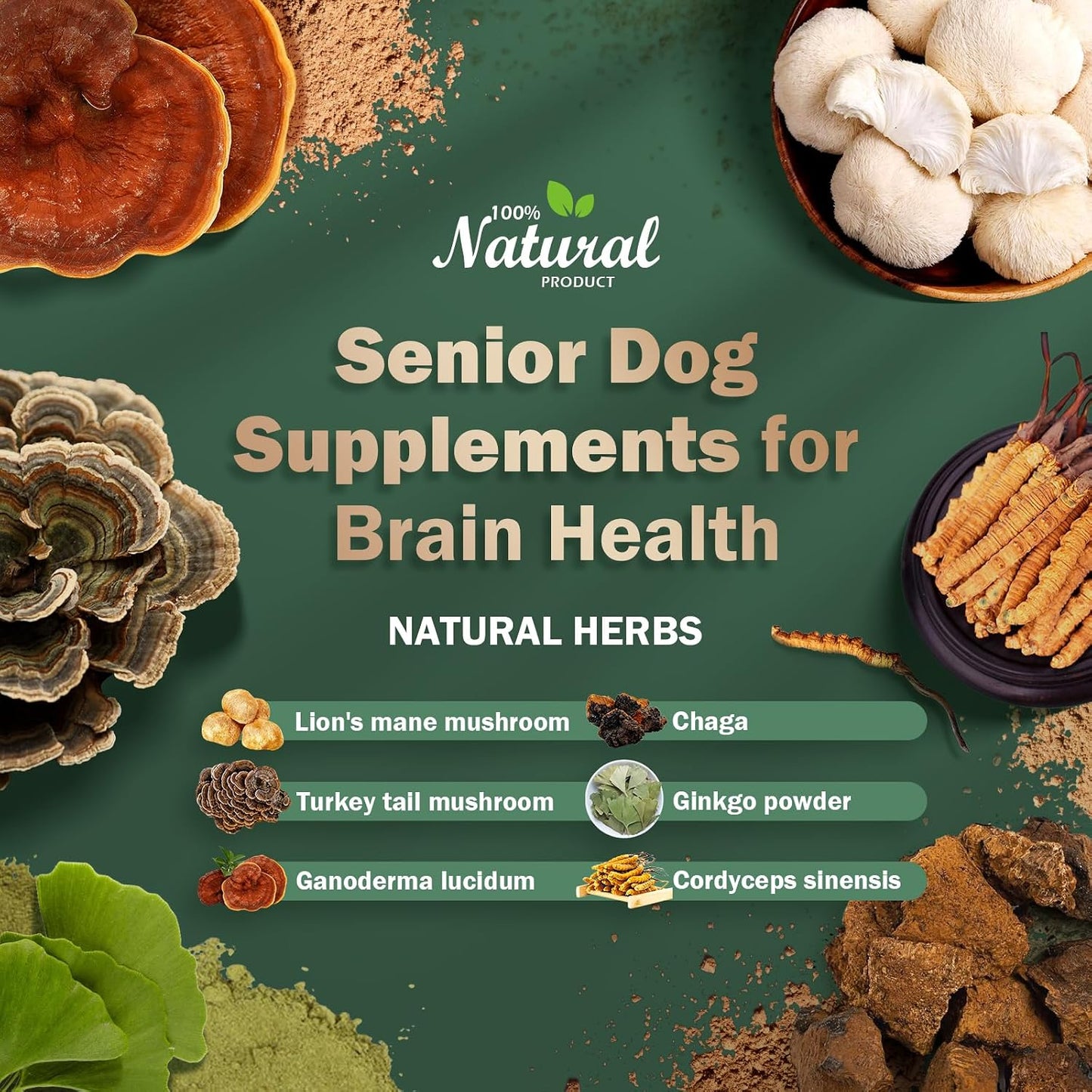 WOMRICH Senior Dog Brain Health Supplement with Mushrooms - 59 ml - görsel 2