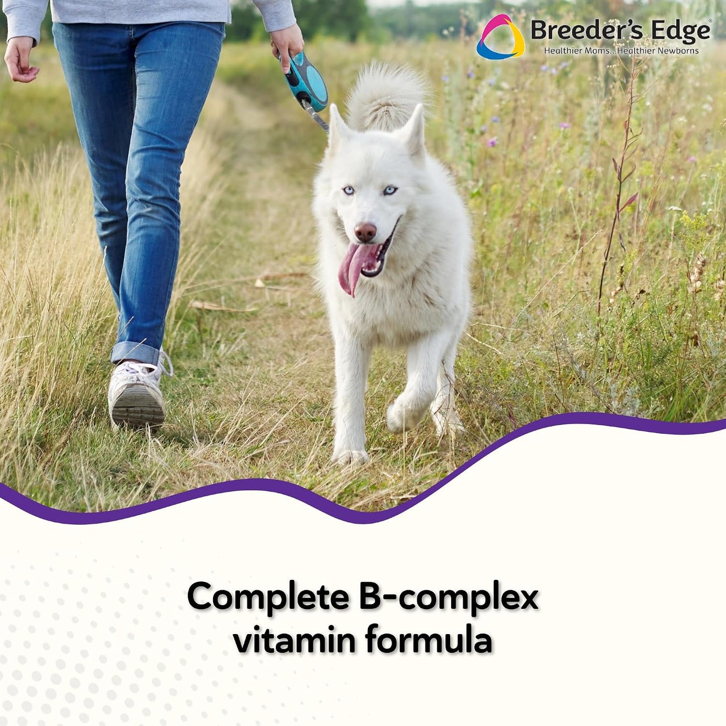Breeder's Edge B Strong Liquid – Vitamin B Supplement for Dogs and Cats (32 oz) - görsel 2