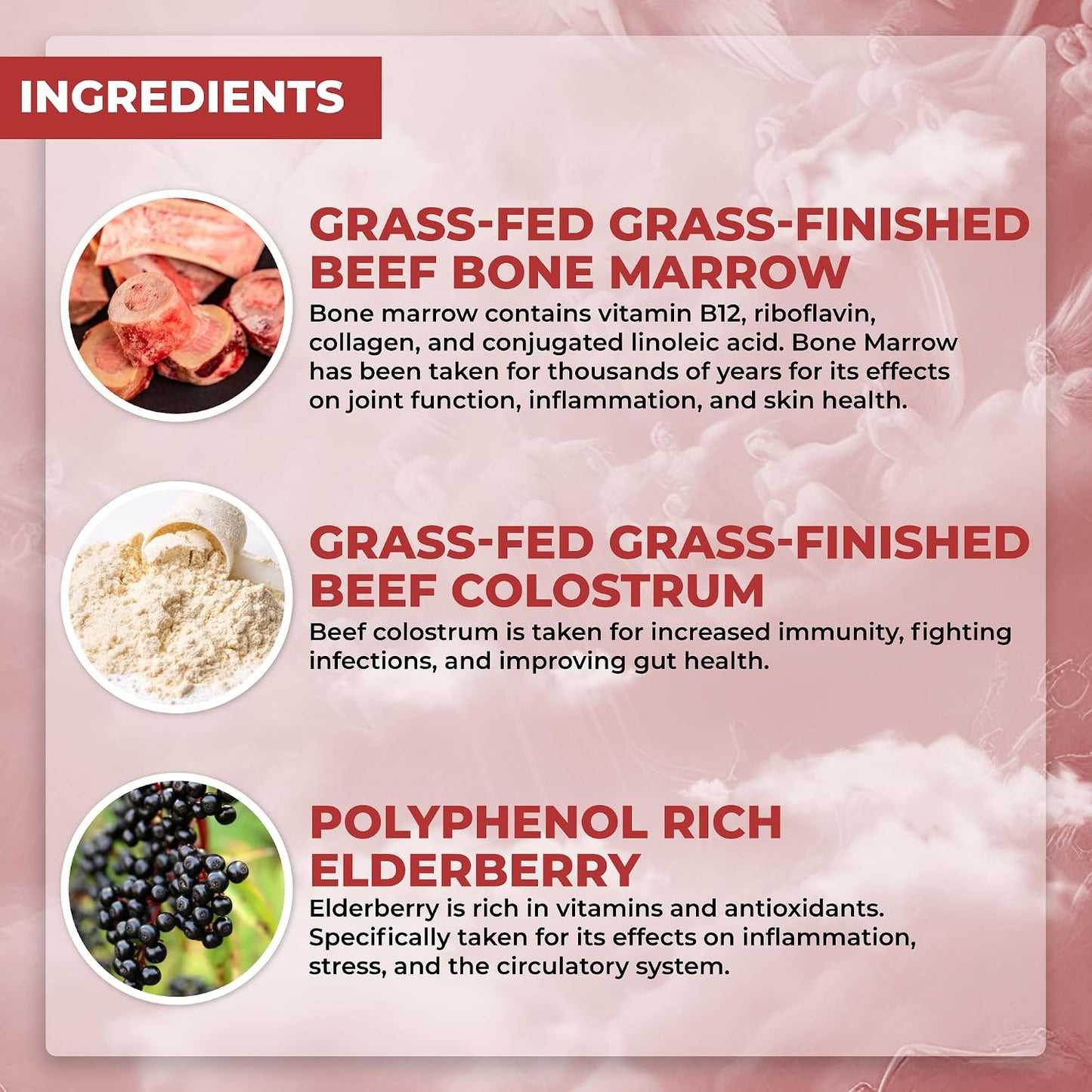 Santa Cruz Paleo Food of the Gods – Grass Fed Beef Organ Supplement - görsel 2