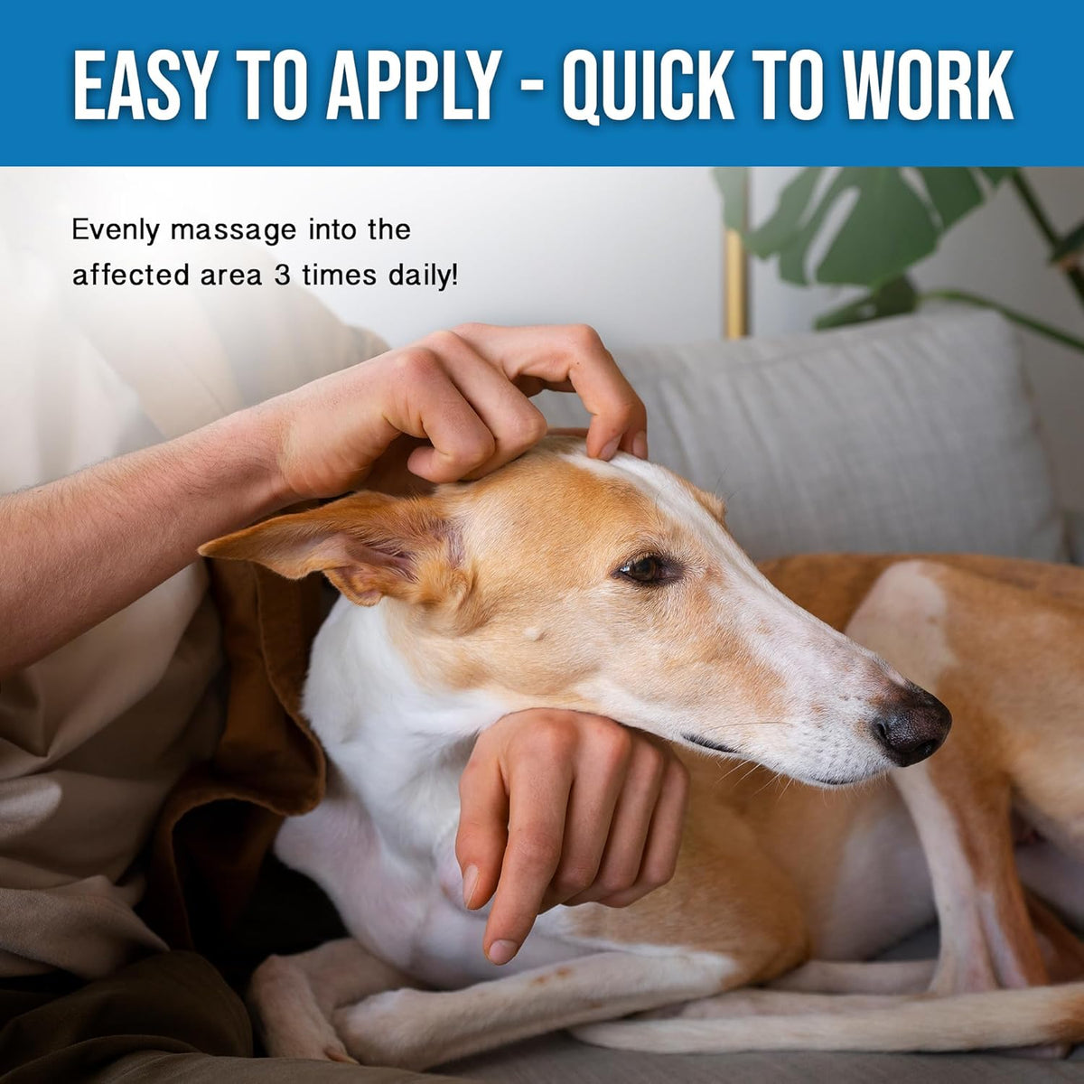 Remedy – Dog Balm with Hemp Oil for Skin Growth Support - görsel 7