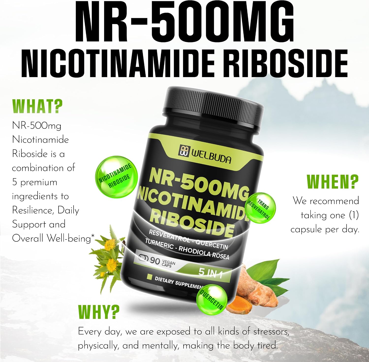 WELBUDA 5in1+ Nicotinamide Riboside Supplement with Resveratrol, Quercetin, Turmeric, Rhodiola Rosea – 90 Capsules - görsel 5