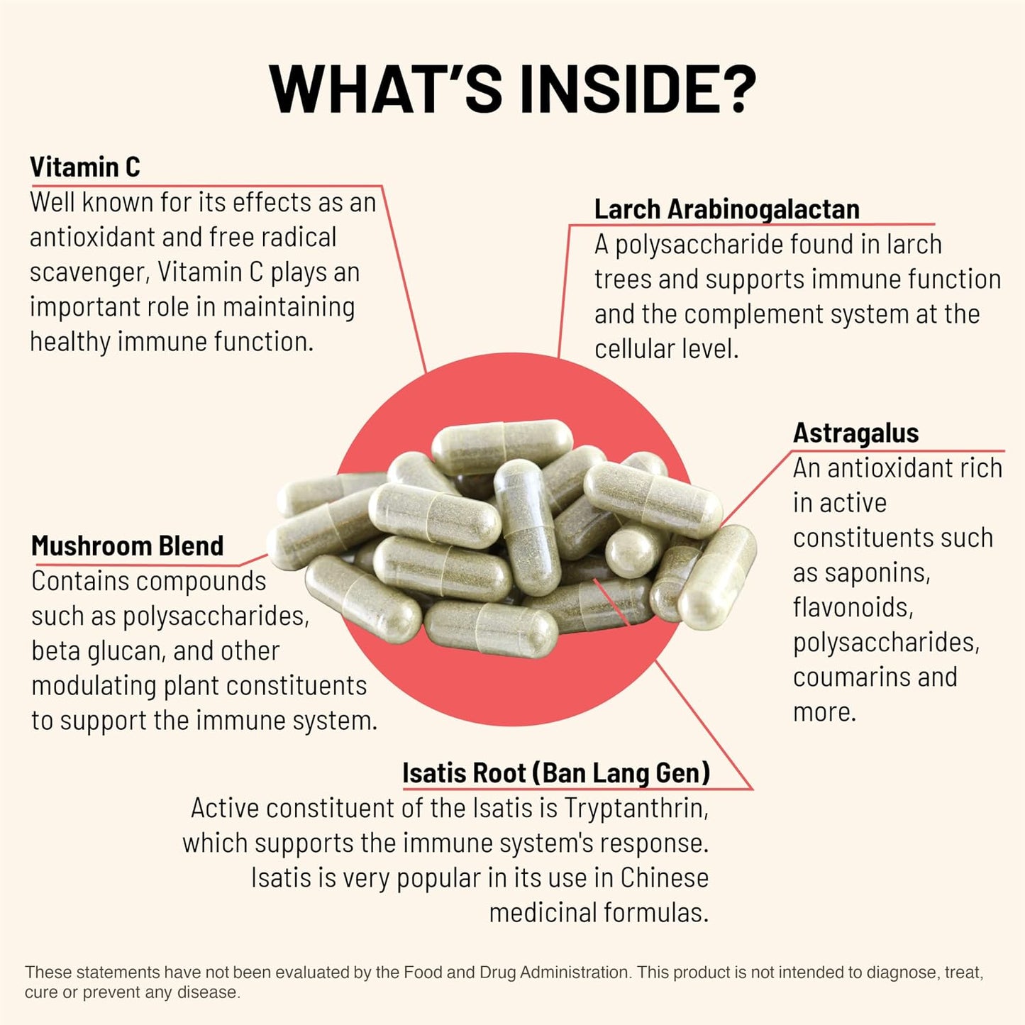 Mountain Peak Nutritionals Immuni-LT - Immune System & Whole Body Support Supplement (60 Vegetarian Capsules) - görsel 4