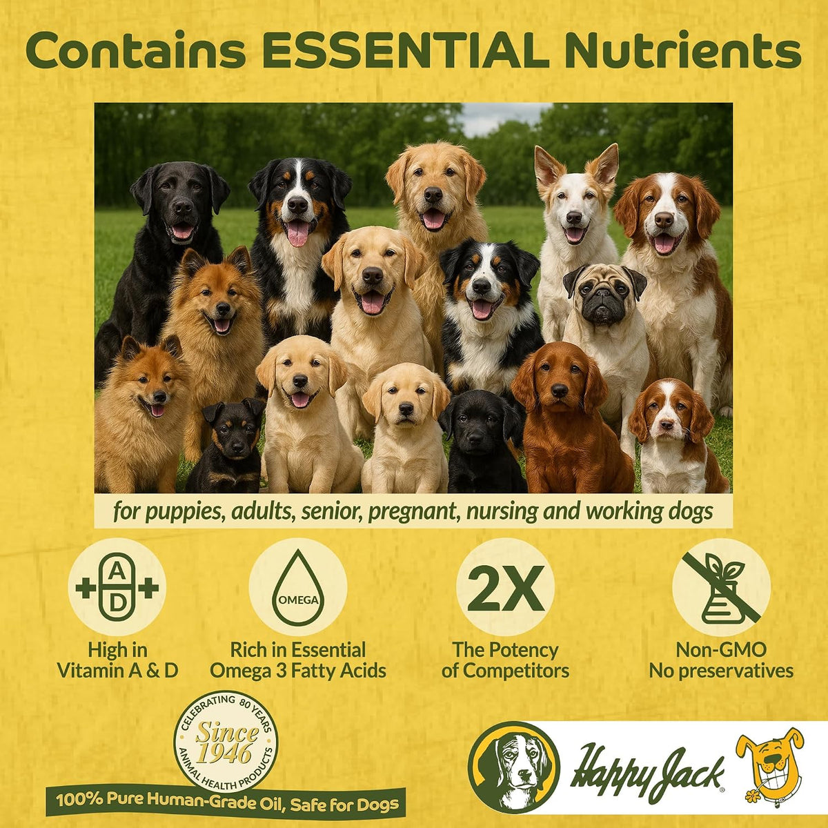 Cod Liver Fish Oil for Dogs, 16 fl oz (473 ml) | Skin & Coat Supplement, Brain, Eyes, Bones, Hip, Joint, Heart, Immune Health, Energy Booster, Omega 3 with EPA, DHA, Vitamins A, D - görsel 7
