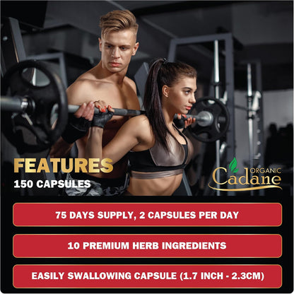 Cadane Premium Berberine Extract - 10-in-1 Supplement with Gotu Kola, Banaba Leaf, Vitamins D3 & C - 150 Vegetable Capsules for Immune and Digestive Support