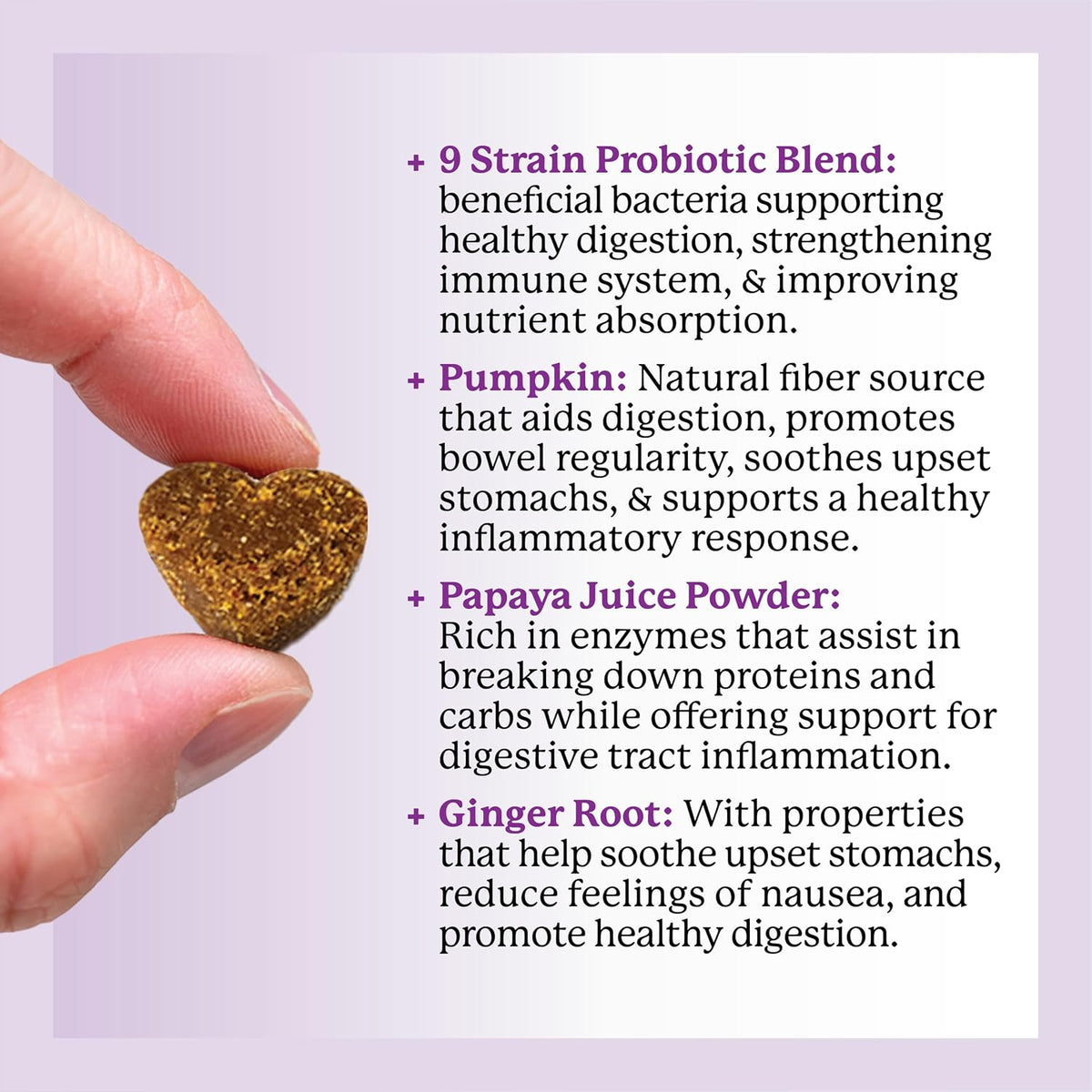 Dr. Harvey's Digestive Probiotic Soft Chews for Dogs, 9 Probiotics for Gut Health, Peanut Butter Flavour (90 Chews) - görsel 4