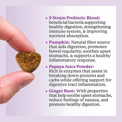 Dr. Harvey's Digestive Probiotic Soft Chews for Dogs, 9 Probiotics for Gut Health, Peanut Butter Flavour (90 Chews)