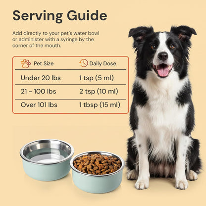 ION* Intelligence of Nature Gut Support for Pets – Liquid Digestive Health Supplement for Dogs and Cats, 473 ml