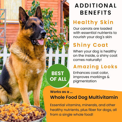 Olewo Original Carrots for Dogs – Dehydrated Dog Food Topper, 1 kg (1000 g)