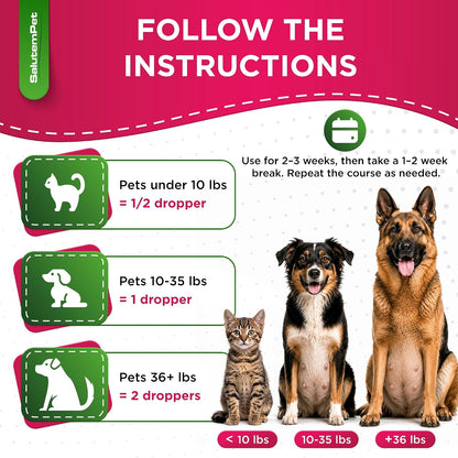 SalutemPet Dog Prenatal Vitamins – Liquid Multivitamin for Pregnant & Lactating Dogs & Cats – All Breeds – 2 fl oz (60 ml)