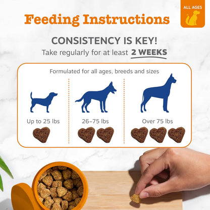Zesty Paws 8-in-1 Bites Dog Multivitamin - Peanut Butter Flavour (50 Chews)