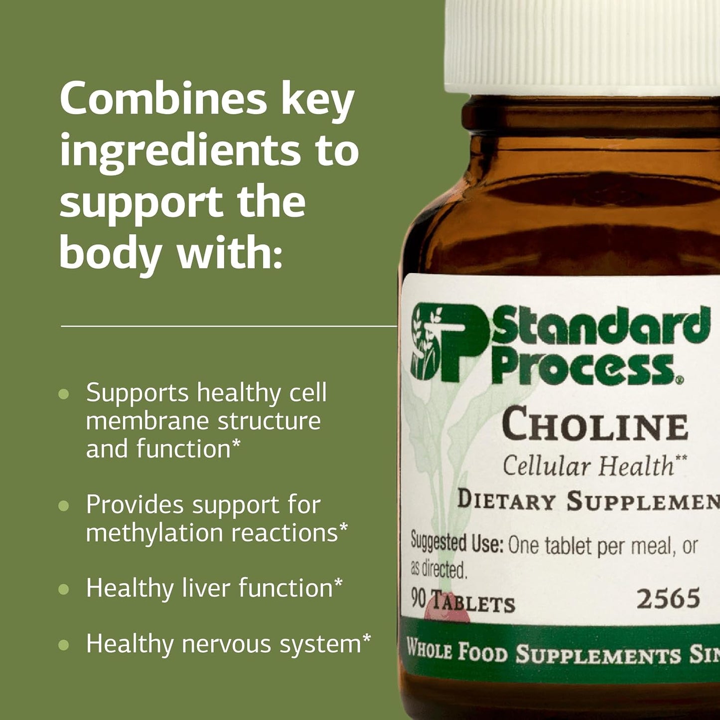 Standard Process Choline - Supports Healthy Fat Metabolism, Liver Health & Nervous System Function - Gluten-Free, Non-Dairy & Vegetarian -180 mg, 90 Tablets - görsel 4