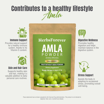 Herbsforever Amla Powder – Phyllanthus Emblica – Rich in Vitamin C & Natural Antioxidants – Supports Healthy Immunity & Digestion – Vegan, Non-GMO Superfood – 230g