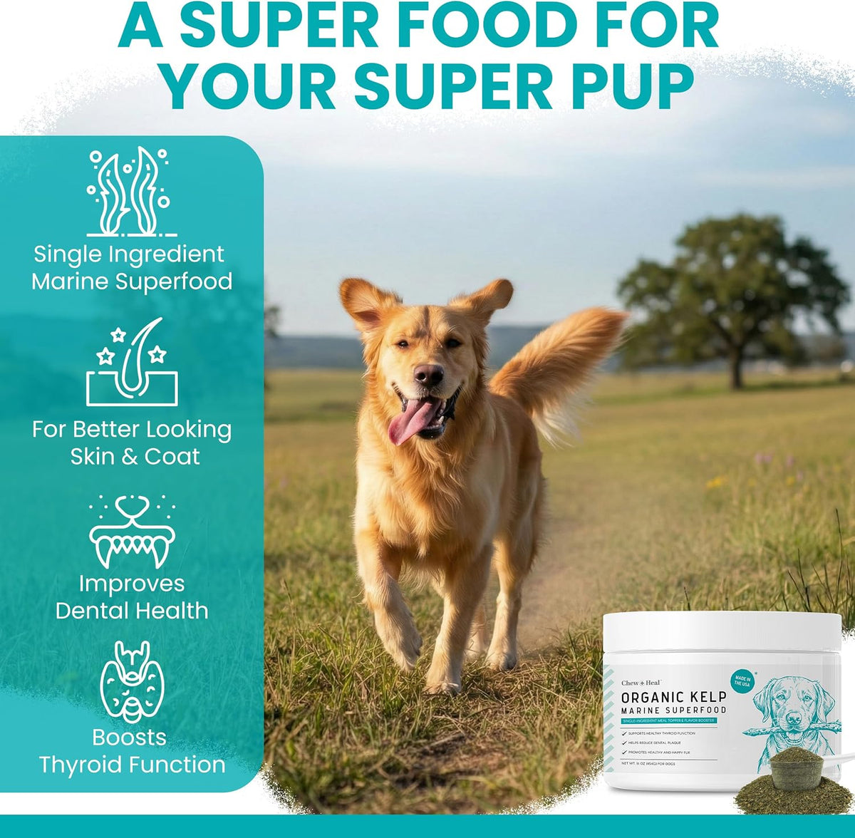 Kelp Supplement for Dogs - 16 oz Powder with Spoon - Thyroid, Dental & Skin Support - Made in the USA - görsel 3