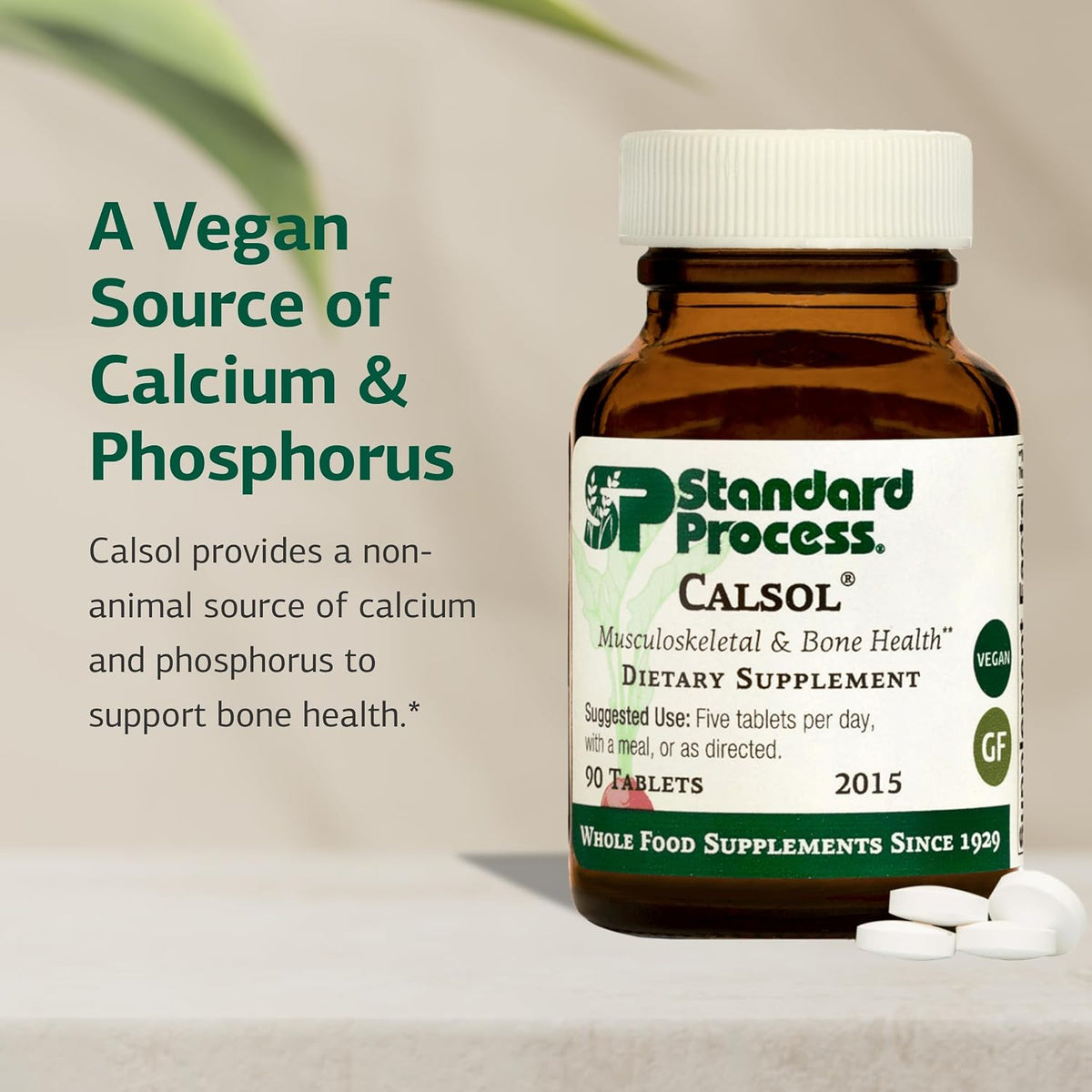 Standard Process Calsol – Calcium & Phosphorus Supplement for Bone Health, Nervous System & Soft Tissue Support – Vegan & Gluten-Free – 90 Tablets - görsel 3