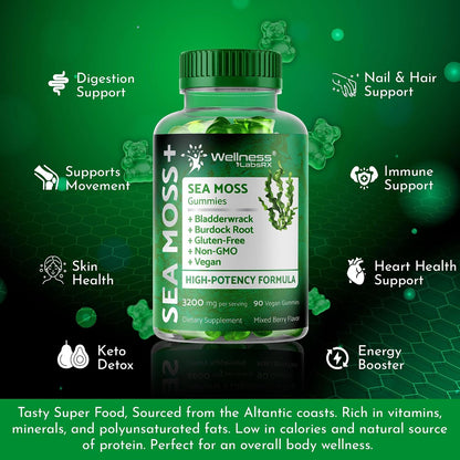 WELLNESS LABSRX Sea Moss Gummies - 3200mg Irish Sea Moss, Bladderwrack & Burdock Root - Mixed Berry - 90 Count