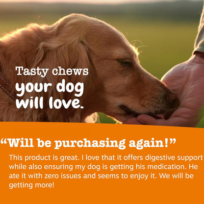 Zesty Paws Pill Wrap Probiotic Paste for Dogs – Bacon Flavour – with DE111 Bacillus subtilis – Immune & Digestive Support – – Image 6