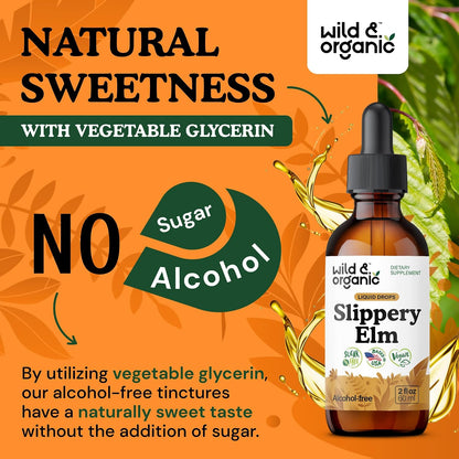 Wild & Organic Slippery Elm Drops – Vegan, Alcohol-Free Liquid Extract, 60 ml