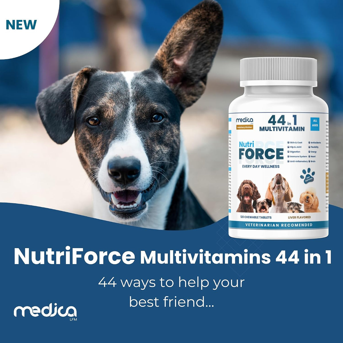 NutriForce 44-in-1 Multivitamin for Dogs – 120 Chewable Tablets – Liver Flavour - görsel 4