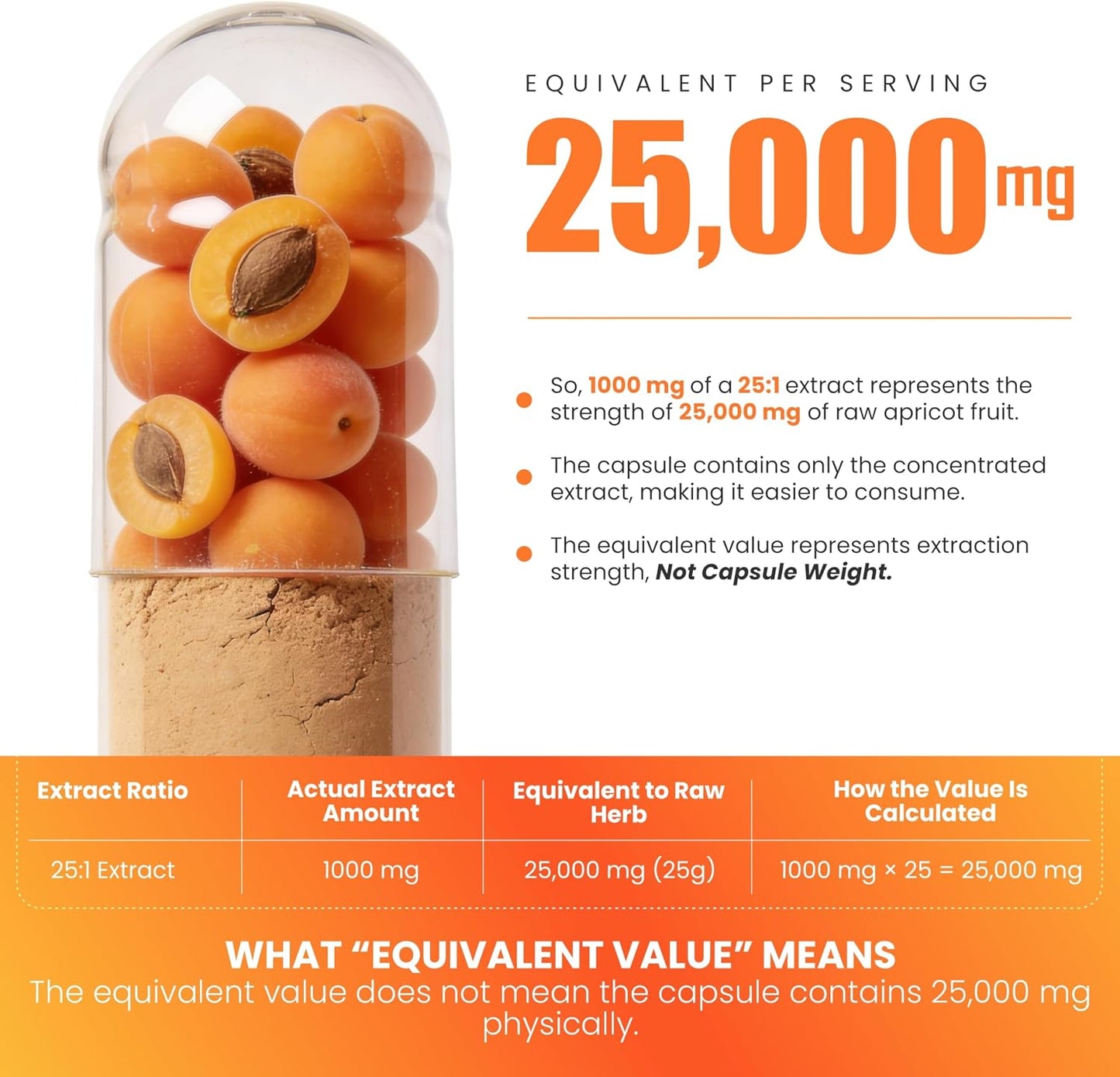 Apricot Extract 25:1, 500 mg per Capsule, 1000 mg per Serving - Immune Support Herbal Supplement (120 Capsules) - görsel 4