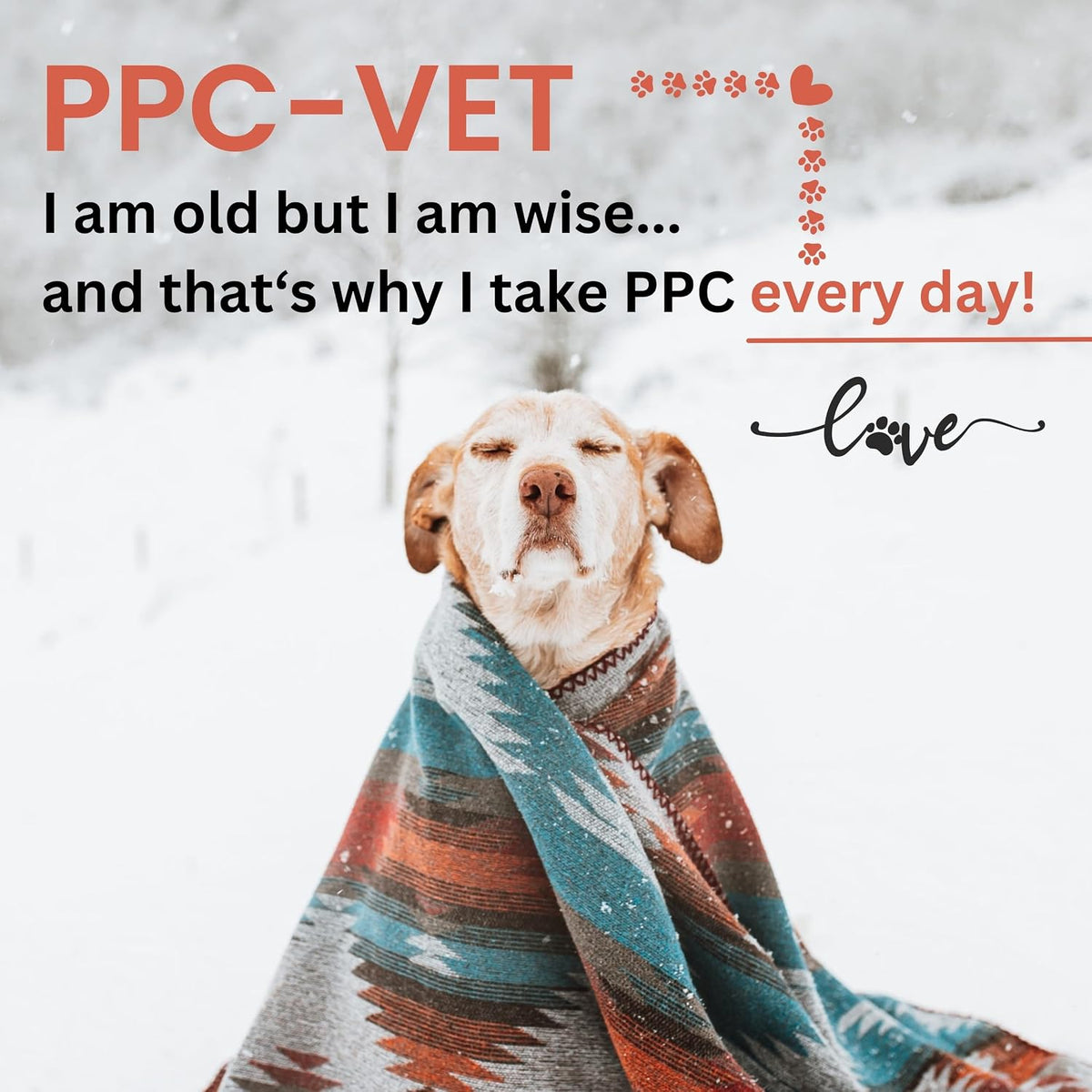 PPC-Vet Polyunsaturated Phosphatidylcholine Liver and Brain Health Supplement for All Sized Cats and Dogs 1000mg PPC / 5mL - Liposomal Liquid 237ml - görsel 5