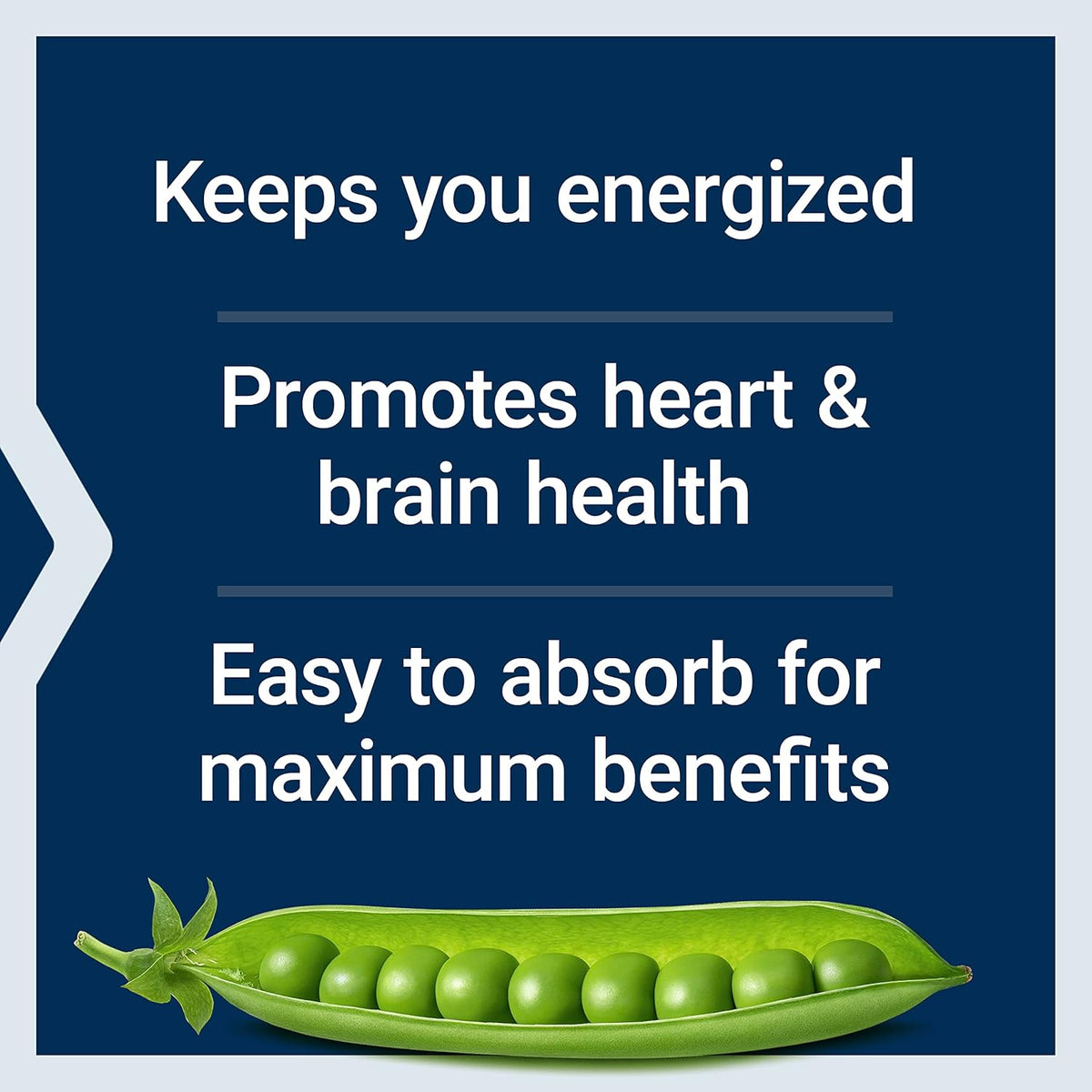 Life Extension BioActive Complete B-Complex, for Normal Energy Metabolism and Nervous System Function, 60 Vegetarian Capsules - görsel 4