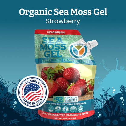 Yemayá Organic Sea Moss Gel - Wildcrafted Raw Seamoss with Real Fruit, 454 g (Strawberry)