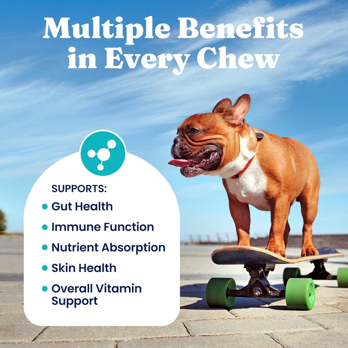 Solid Gold Dog Multivitamin - Soft Chews - All-in-One Support with Vitamin C, B12, Probiotics & Antioxidants - Bacon Flavour (120 Count) - görsel 4