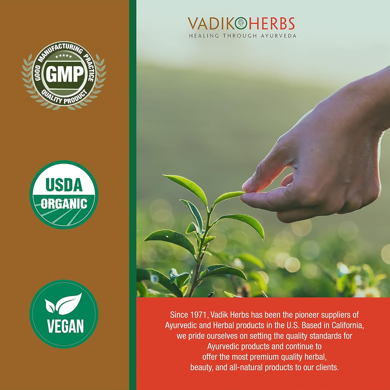 Vadik Herbs Kutaj (Holarrhena Antidysenterica) 100 Vegicaps - Digestive Support - görsel 4