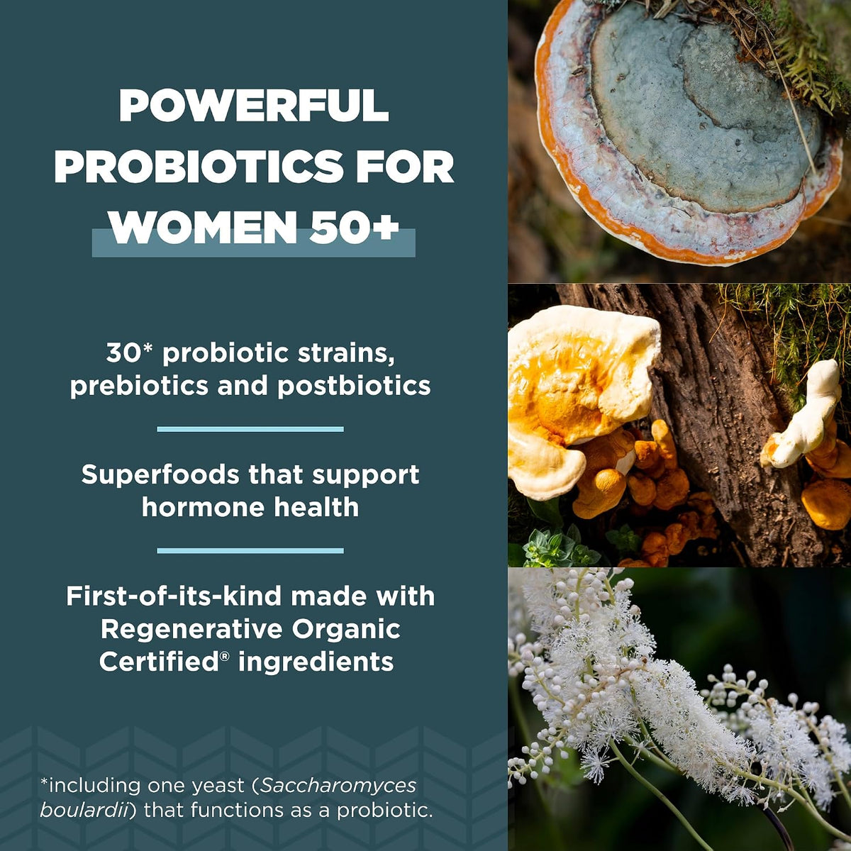 Ancient Nutrition Regenerative Organic Certified Probiotics for Women 50+ (30 Capsules) - görsel 3