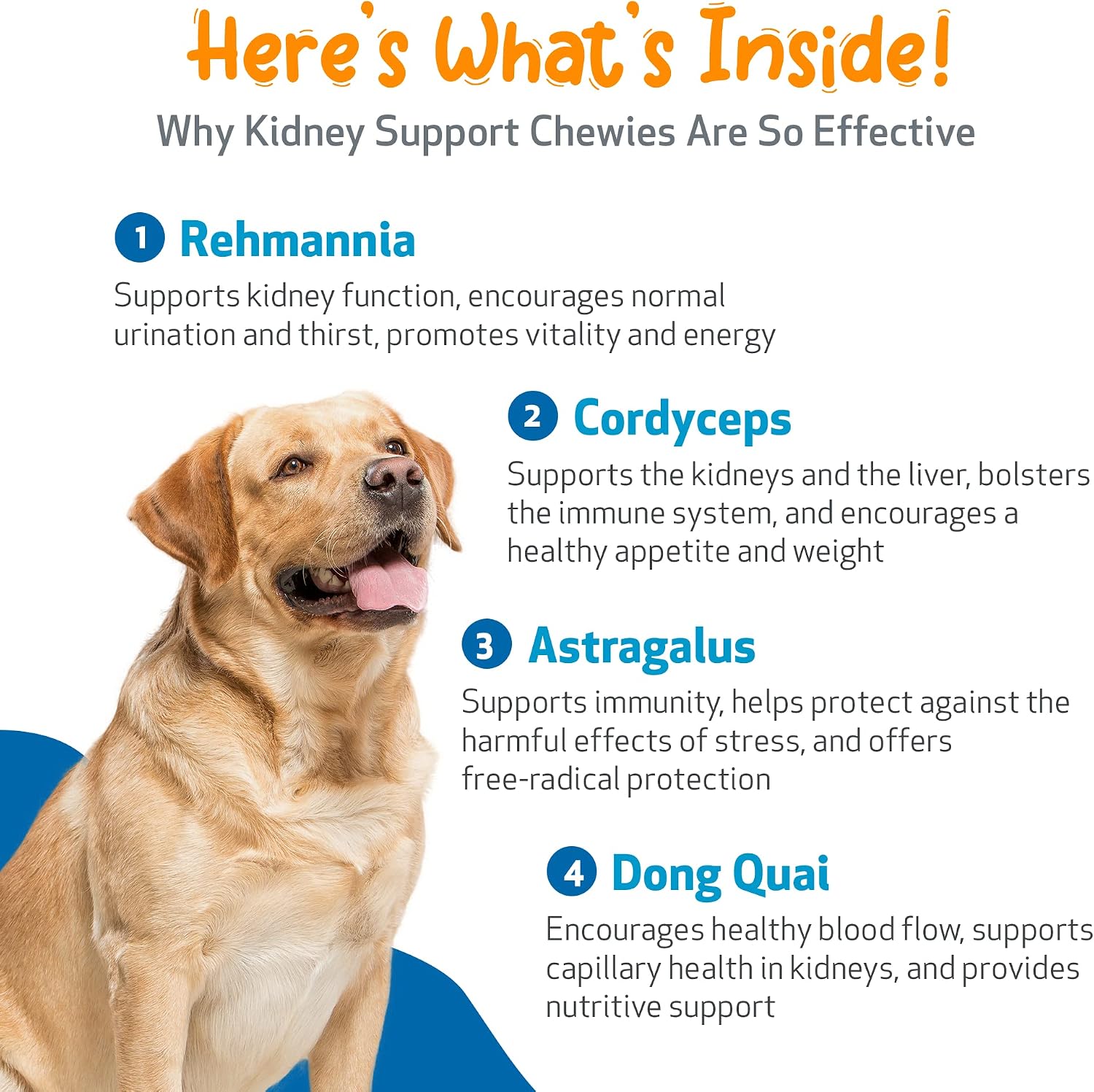 Pet Wellbeing Kidney Support Chewies for Dogs – Vet-Formulated Herbal Soft Chews – 90 Count - görsel 5